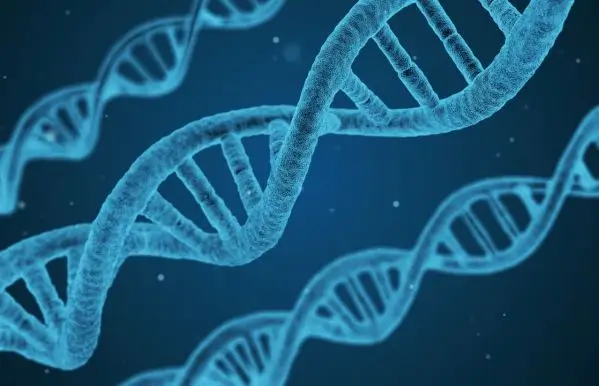 What-70-Genetic-Test Image